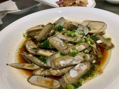 蛏子-得尔乐大酒店(南塘店)