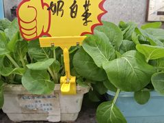 -金陵后厨·南京菜(新街口秣陵路店)