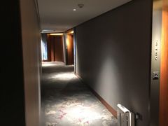 -新加坡瑞士史丹福酒店