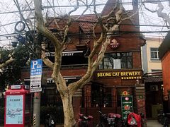 -Boxing Cat Brewery拳击猫精酿啤酒馆(永福店)