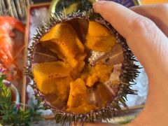 -普朗姆生蚝牛排馆 The Plump Oyster(成都摩方购物中心店)