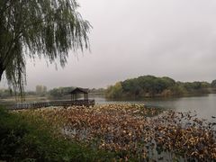 -上海市保健医疗中心(华东疗养院)