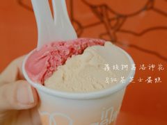 -Dip in Gelato(富民路店)