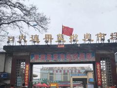 -大连果菜批发市场