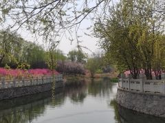 -大望京公园