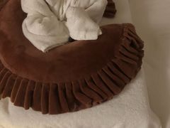 -端艾堂·SPA·艾灸(棕榈泉013店)