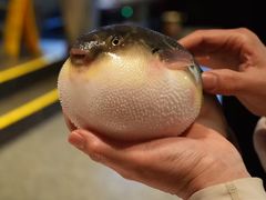 -永安鱼庄·镇江菜(东吴路店)