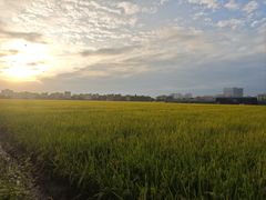 -低涌(地铁站)