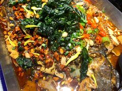 -马邦子·紫苏烤鱼(恒隆广场店)