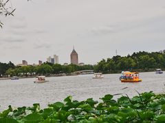 -长春市南湖公园