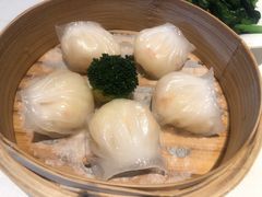 -金悦轩海鲜城(渔人码头店)