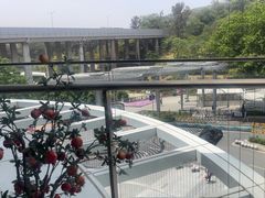 -点都德(广州白云山景区南门店)