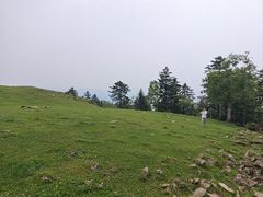 -老秃顶草原景区