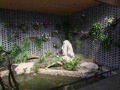 -云溪植物园