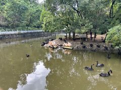 -黔灵山公园