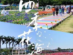 -盈香心动乐园