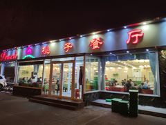 门面-桃子餐厅·天津菜(红星路直营店)
