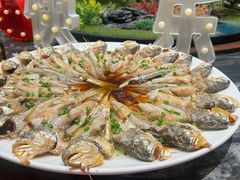 -大连湾旭日·家宴·海肠捞饭(马栏广场店)