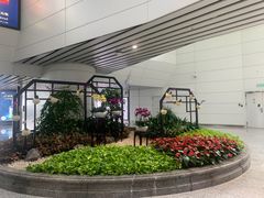 -广州白云国际机场-T2航站楼