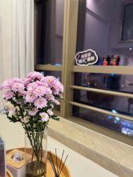 点击看大图 -JNK皮肤管理中心