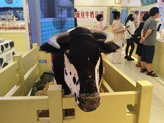 -红星前进面包牛奶公司(君太店)