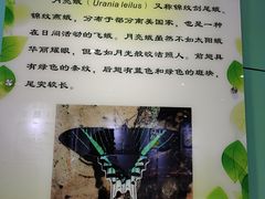 -上海昆虫博物馆