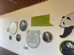 -宁波野生动物园