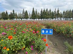 -嘉北郊野公园