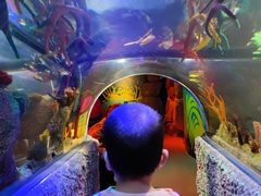 -沈阳海洋探索中心