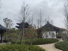 -江心屿景区