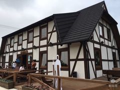 -金山农民画村-枫泾波兰倒置屋