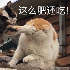 -德加芭蕾·舞蹈培训