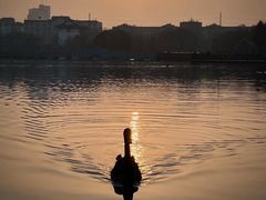 -南通濠河风景名胜区