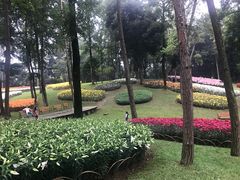 -保利石象湖景区