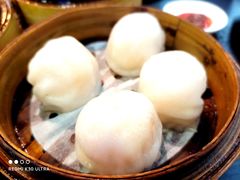 添运来虾饺皇-添运来(茶园奥园广场店)