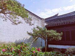 -绍兴鲁迅故里·沈园景区