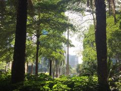 -星巴克臻选(深圳嘉里建设广场店)