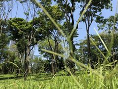 -星巴克臻选(深圳嘉里建设广场店)