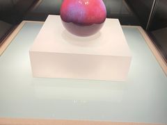-辽宁省博物馆