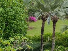 -大堂酒廊·亚龙湾万豪度假酒店