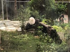 -泉州海丝野生动物世界