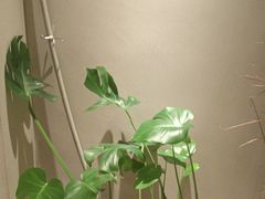 -泰合玺·精油疗愈 SPA(南京河西万达店)