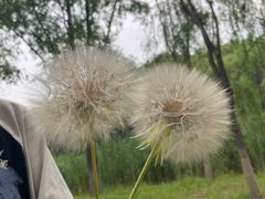 -东郊湿地公园