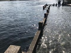 -新安江山水画廊风景区