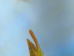 -徽三说·土徽菜·中国徽菜连锁品牌(一中店)