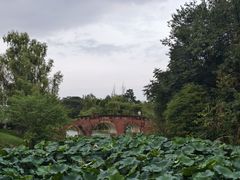 -白鹭湾湿地公园