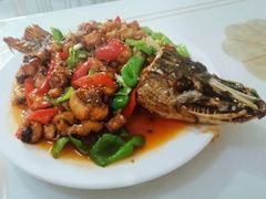 -煲来饱去冷水鱼