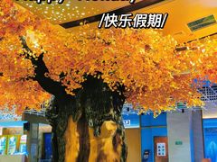 -青水瓦台汤泉(未央店)